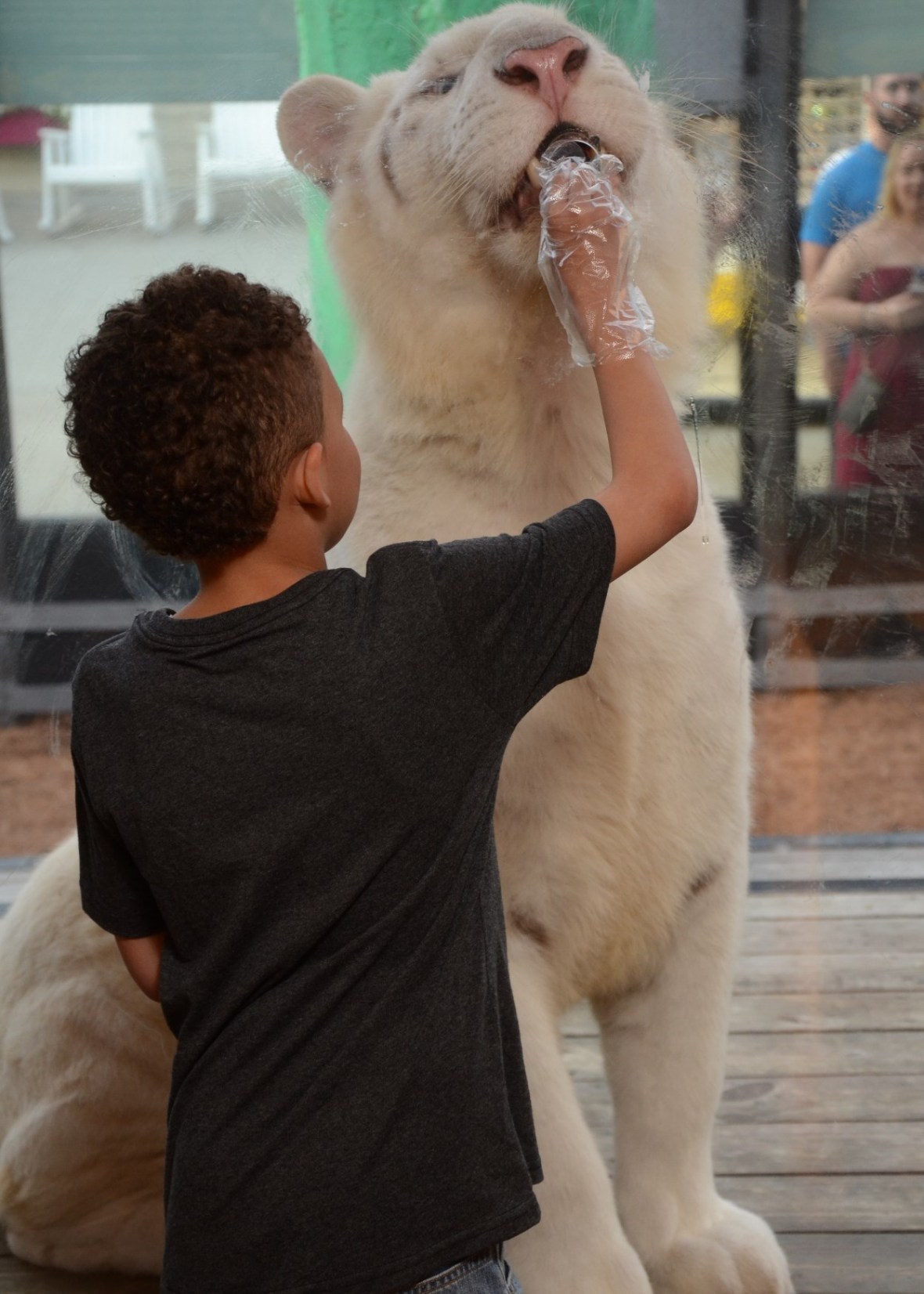 T.I.G.E.R.S. Myrtle Beach-TIGERSMB-Entrance-id189268340_withBorder