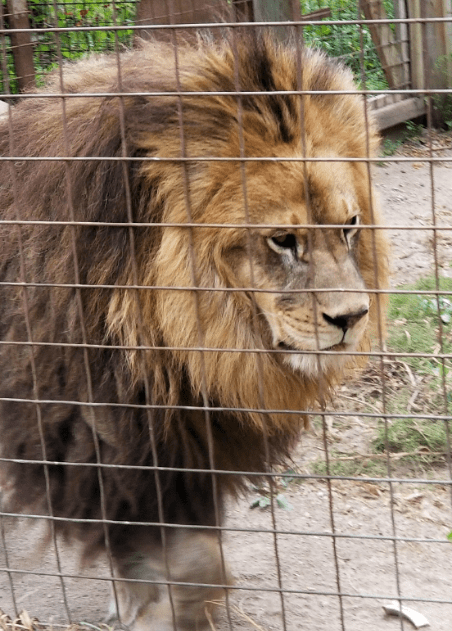 10-3-2017 9-45-19 AM