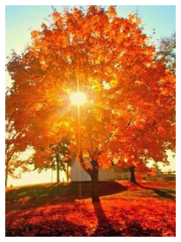 9-30-2017 8-58-50 PM