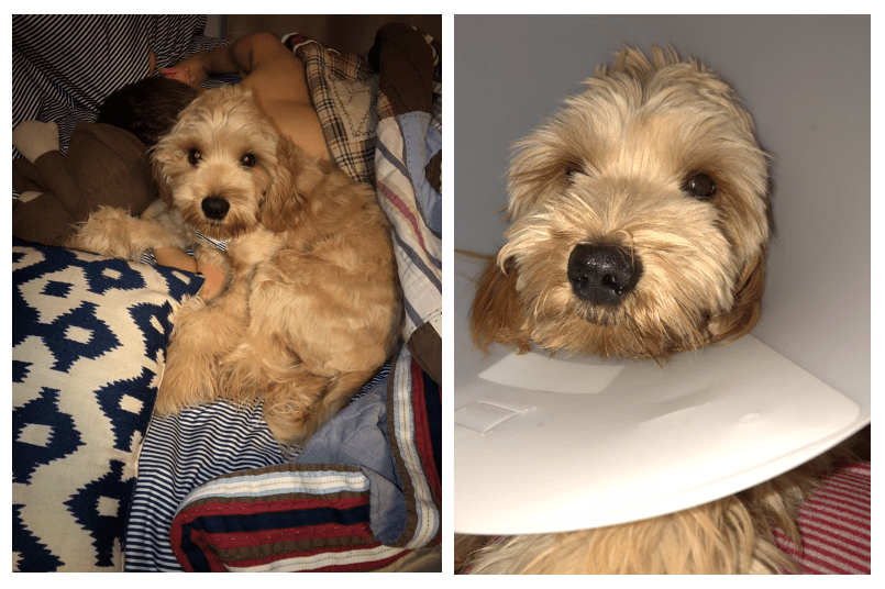 1-25-2018 10-59-59 PM.png